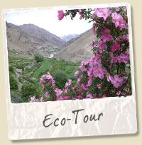 eco tourism ladakh