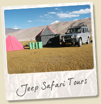 jeep safari tours ladakh